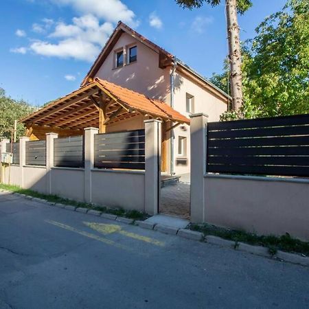 Casa Sonia Sighisoaraヴィラ エクステリア 写真