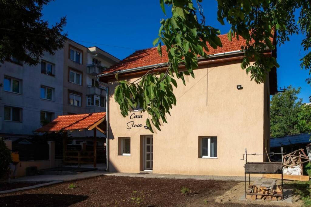 Casa Sonia Sighisoaraヴィラ エクステリア 写真