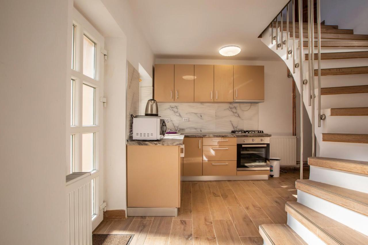 Casa Sonia Sighisoaraヴィラ エクステリア 写真