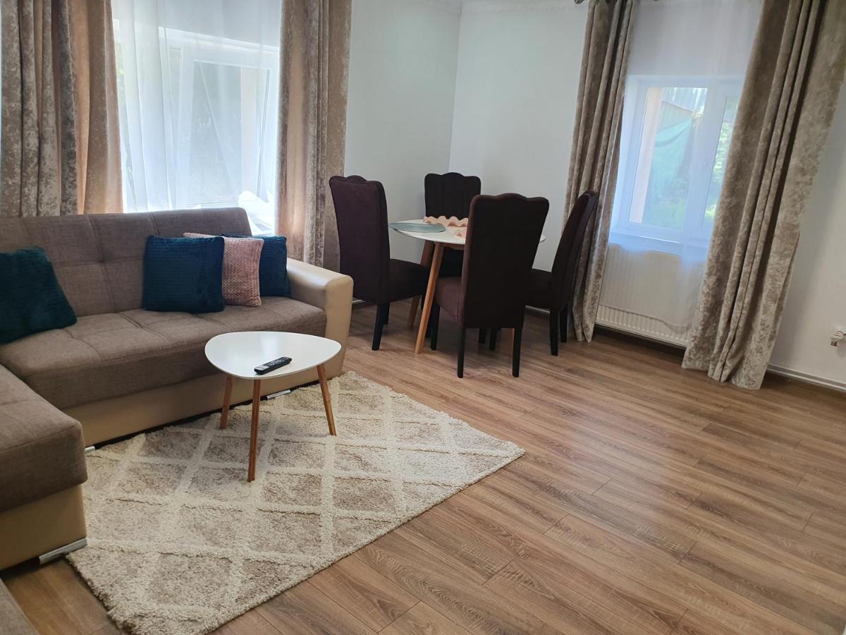 Casa Sonia Sighisoaraヴィラ エクステリア 写真