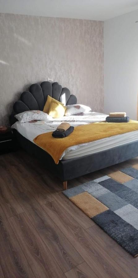 Casa Sonia Sighisoaraヴィラ エクステリア 写真