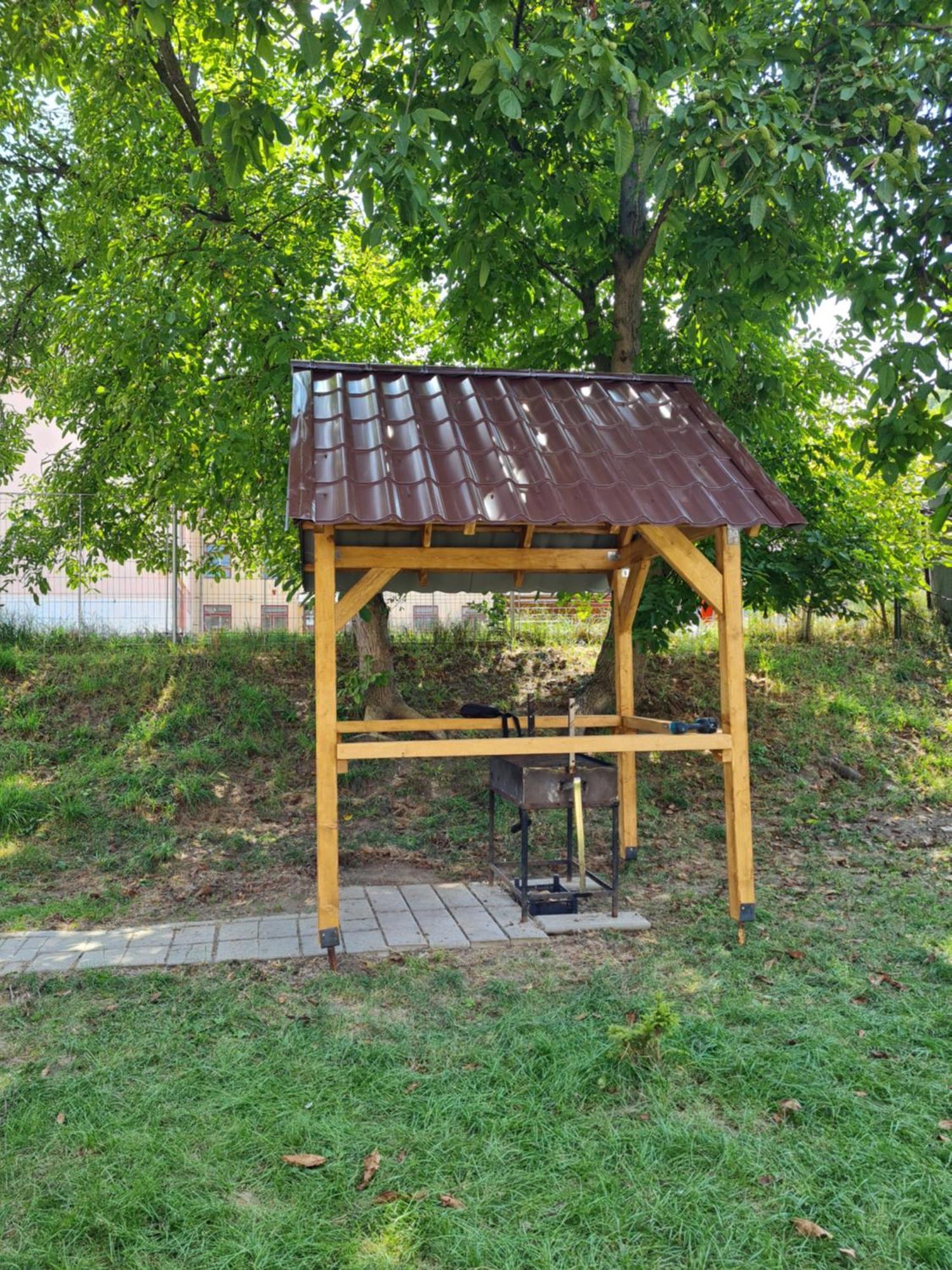 Casa Sonia Sighisoaraヴィラ エクステリア 写真