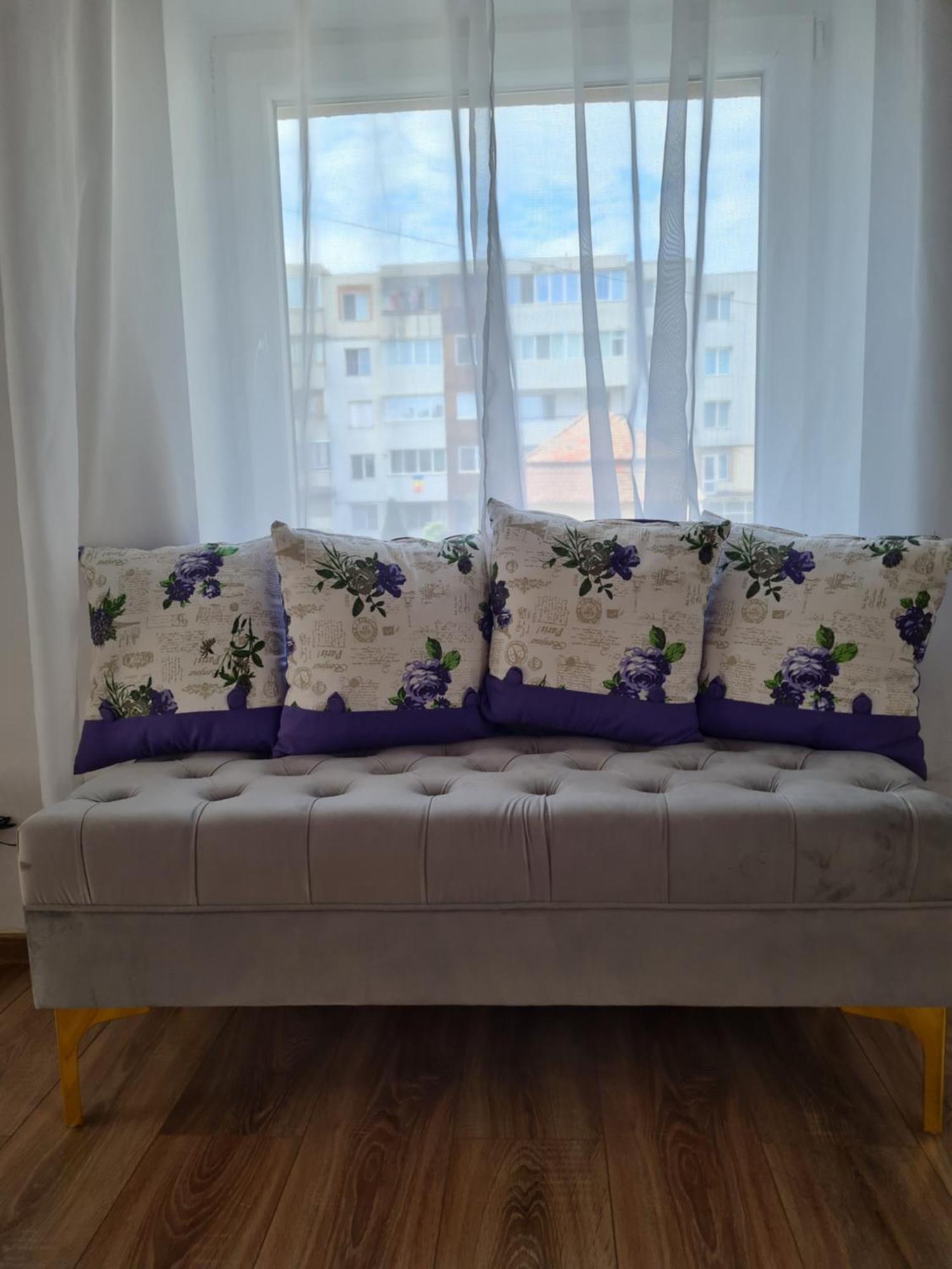 Casa Sonia Sighisoaraヴィラ 部屋 写真